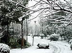 雪景图片