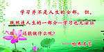 哈弗名言