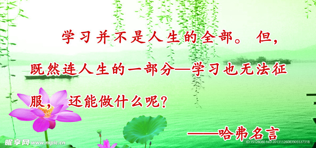 哈弗名言