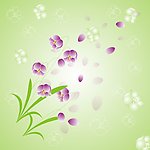 梦幻铃兰
