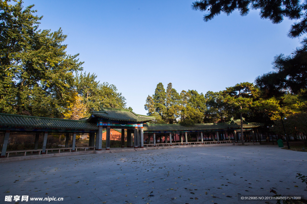 中国人民大学