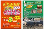 羊肉火锅暖冬单页
