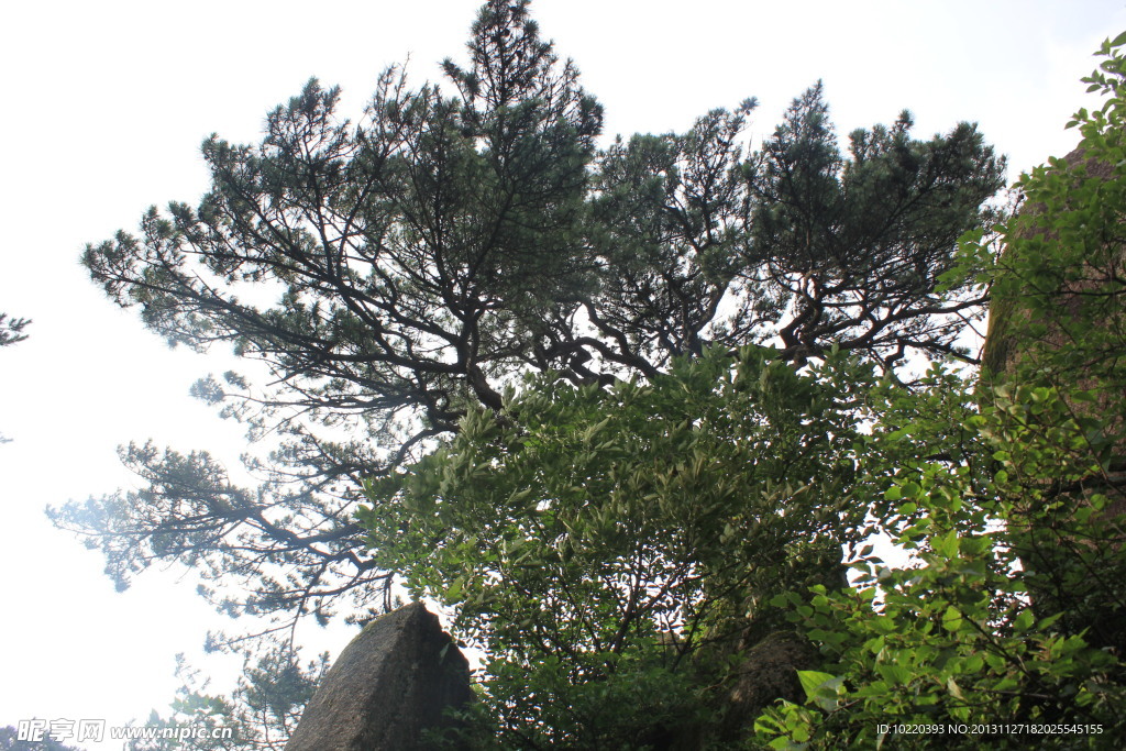 黄山