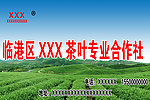 茶叶源