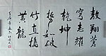 敖翔苍穹志耀乾坤