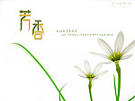 芳香字体设计花图
