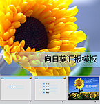 向日葵ppt模板