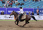 赛马
