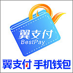 翼支付