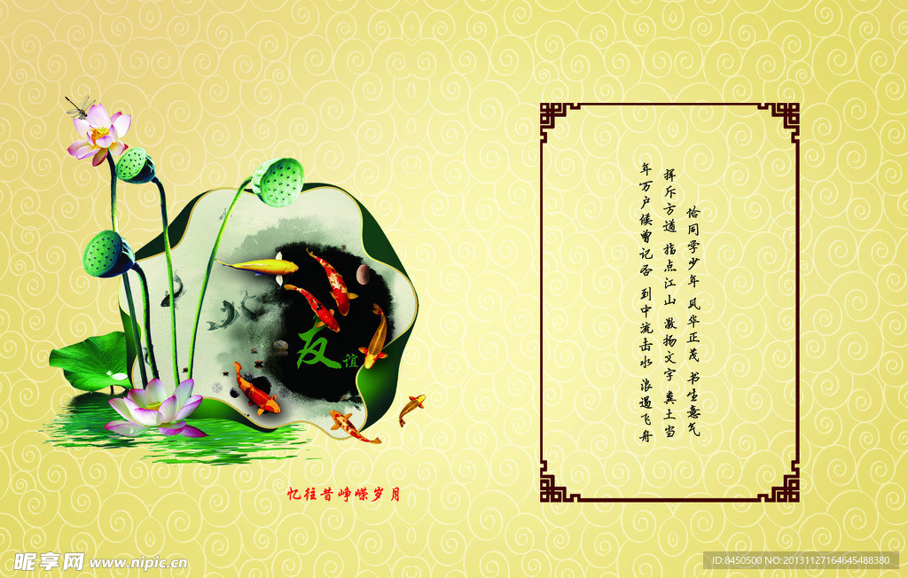 荷花