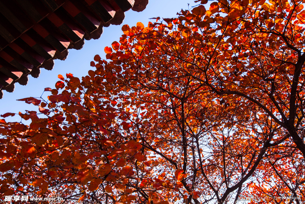 红螺寺北京