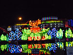 灯会