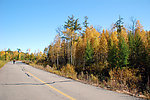 公路边秋景