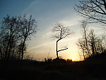 夕阳景观