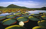 山水风景