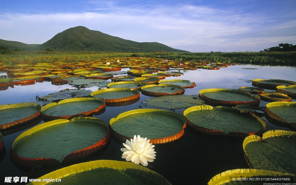 山水风景