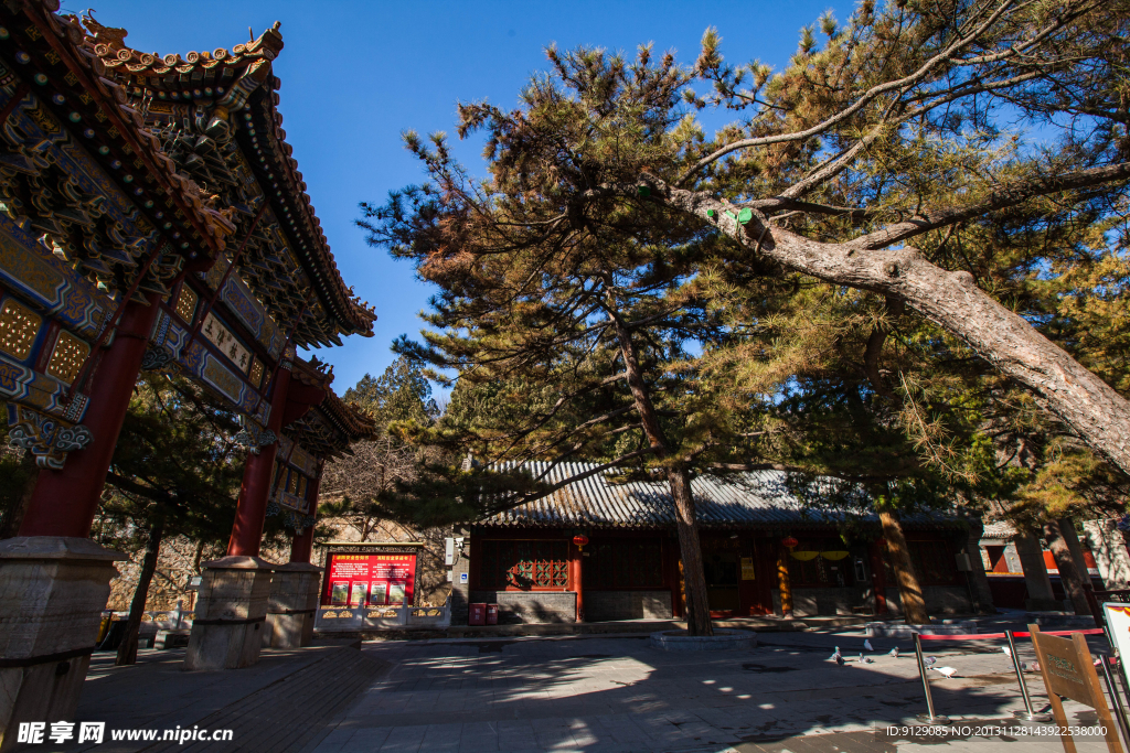 北京潭柘寺