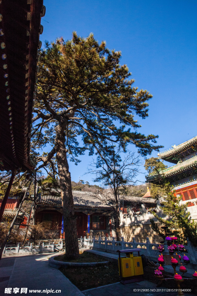 北京潭柘寺