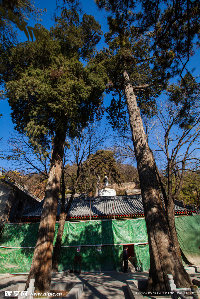 北京潭柘寺