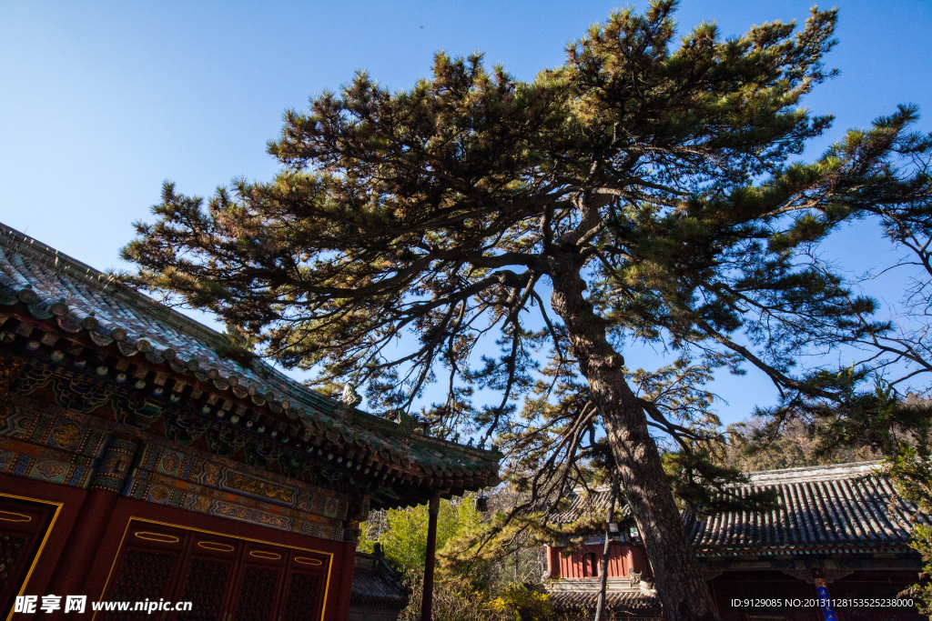 北京潭柘寺
