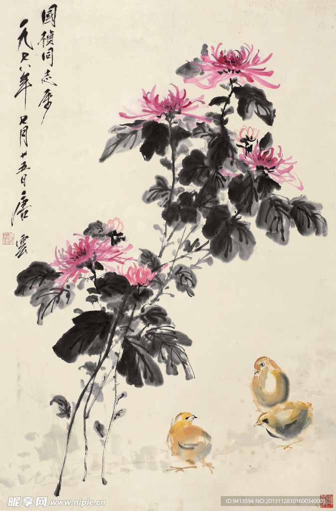 雏鸡菊花