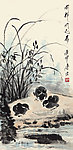 兰花雏鸡