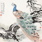孔雀图