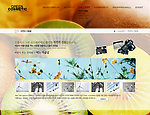 韩文网页
