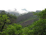 武夷山