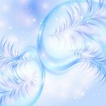 冬季冰花