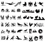 铜版画朱伊图案动物鸟