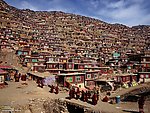 西藏喇嘛居住区