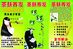茶麸养发 中草药