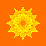 鲜花