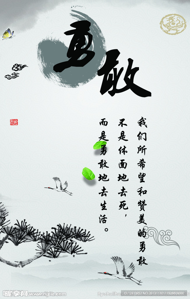 校园展板
