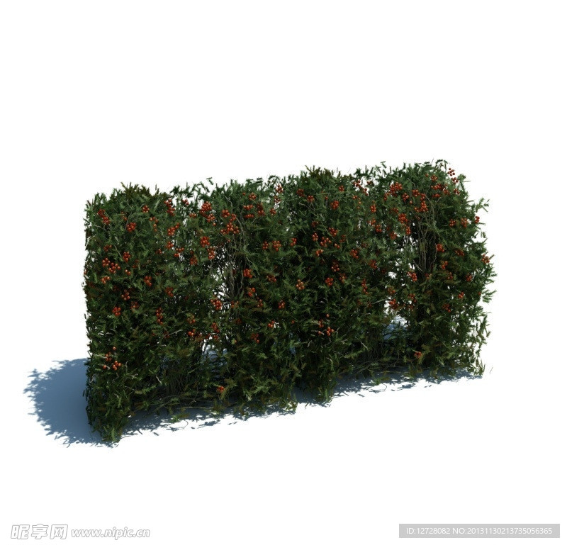 植物模型 草模型