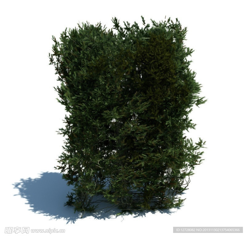 植物模型 草模型