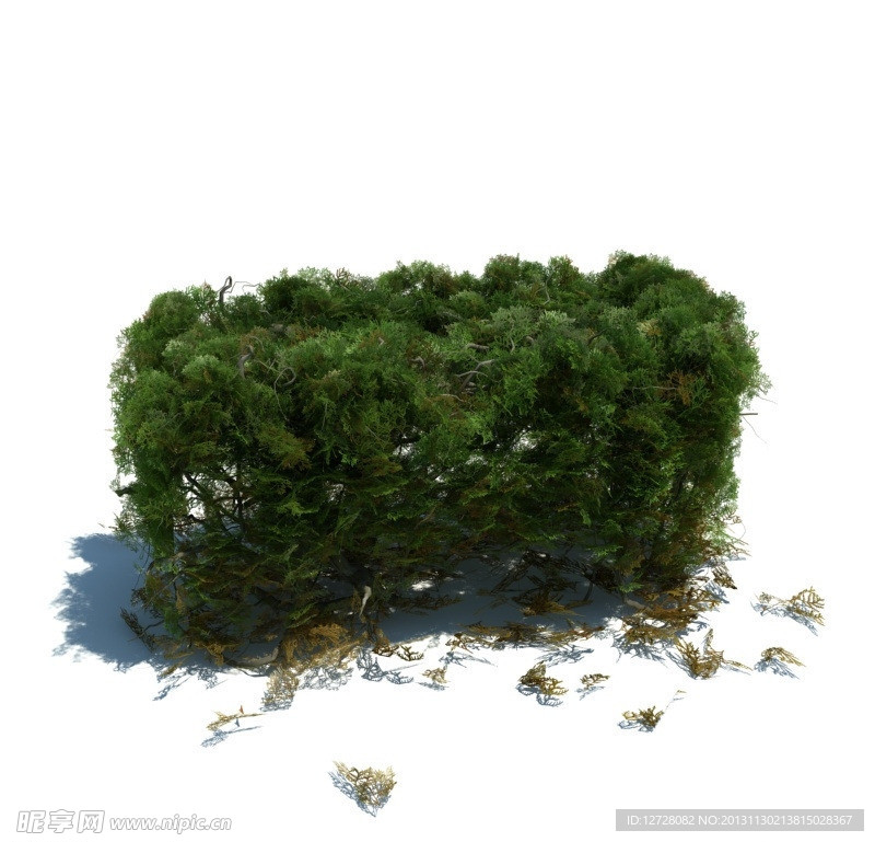 植物模型 草模型