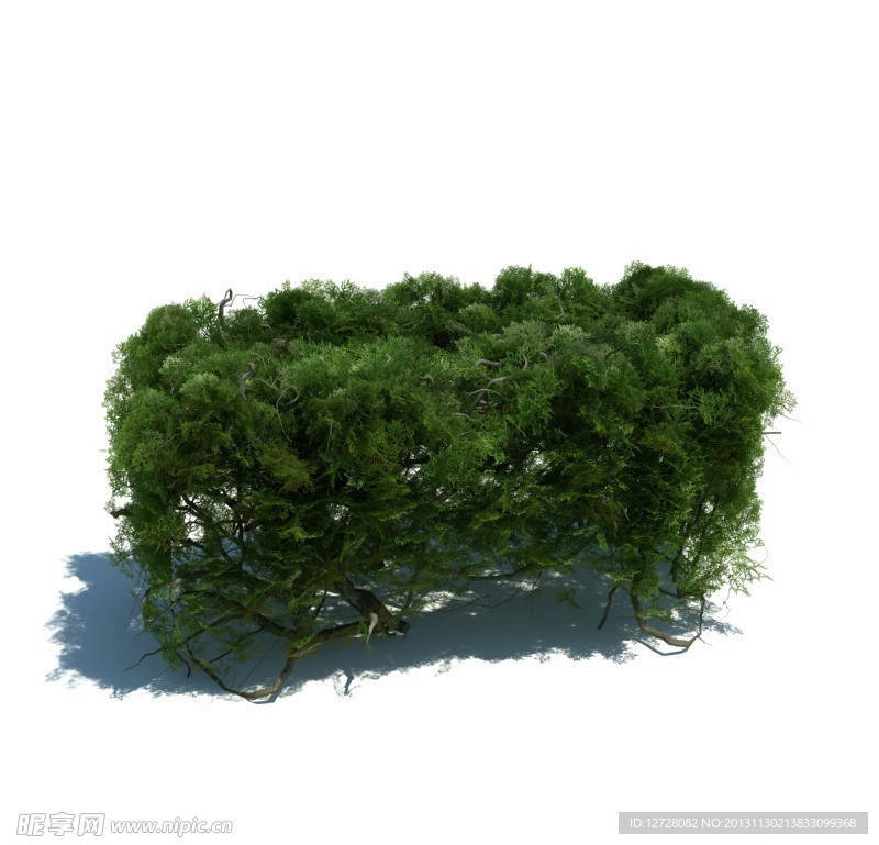 植物模型 草模型