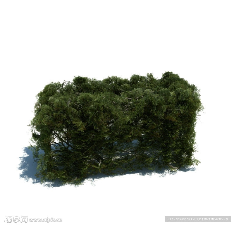 植物模型 草模型
