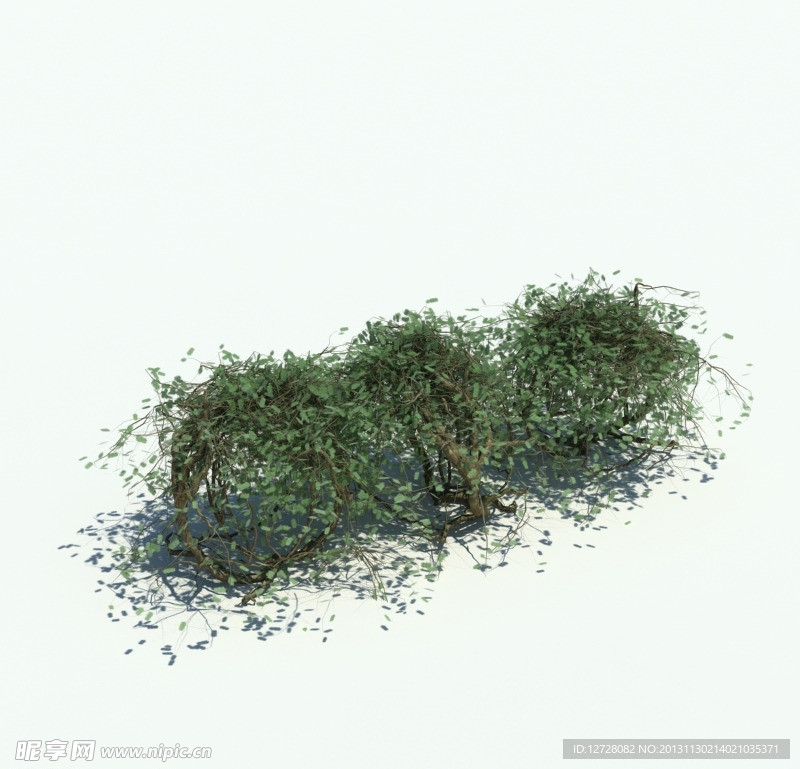 植物模型 草模型