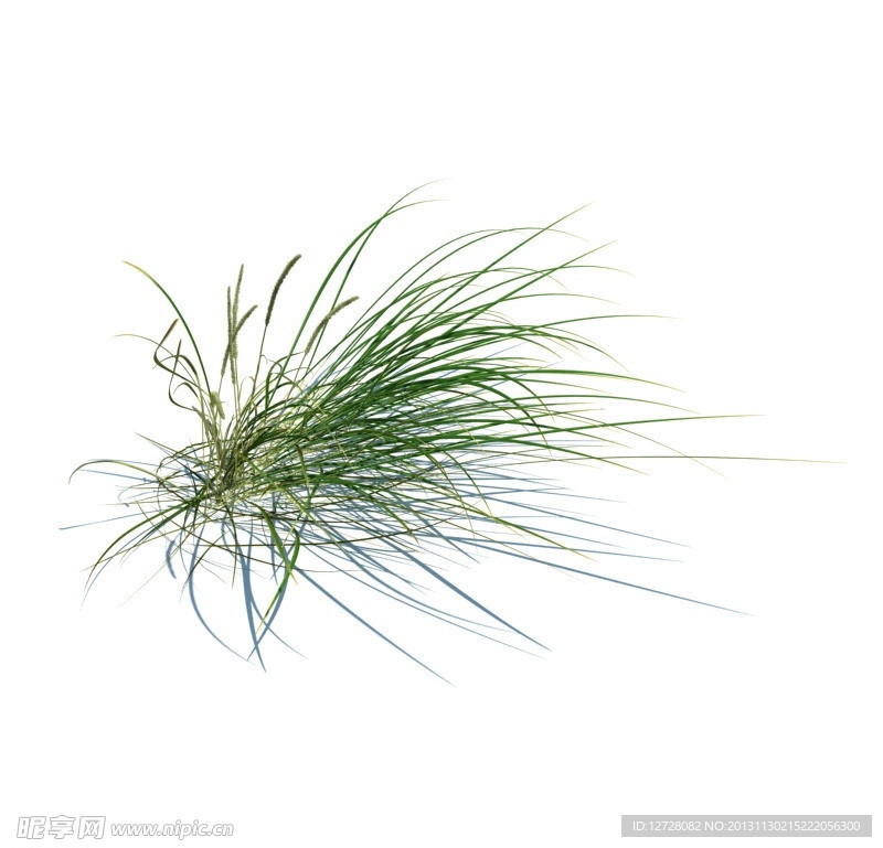 植物模型 草模型
