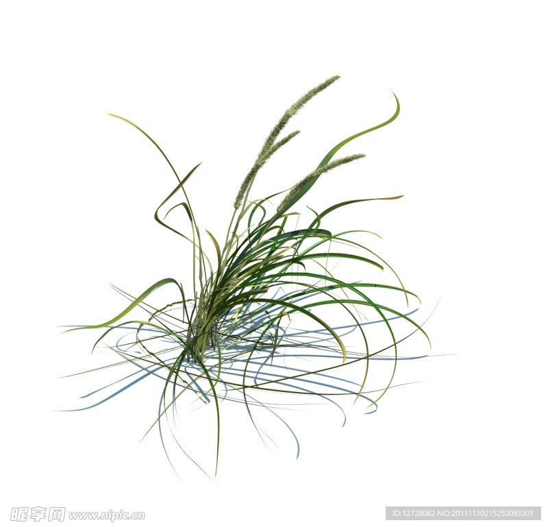 植物模型 草模型