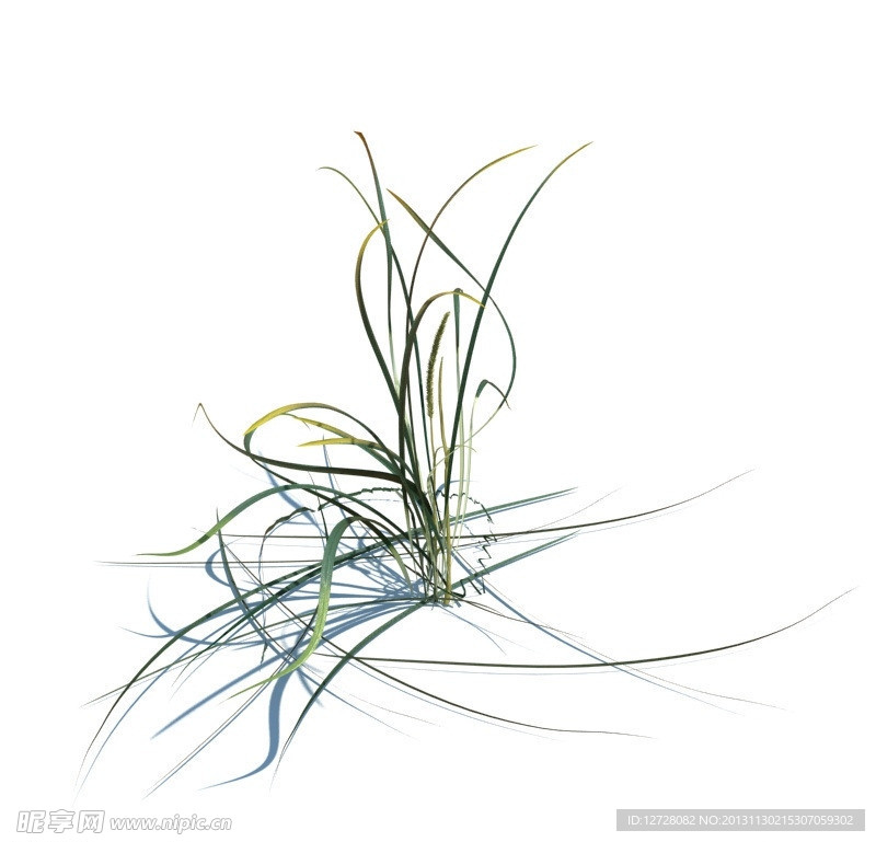 植物模型 草模型