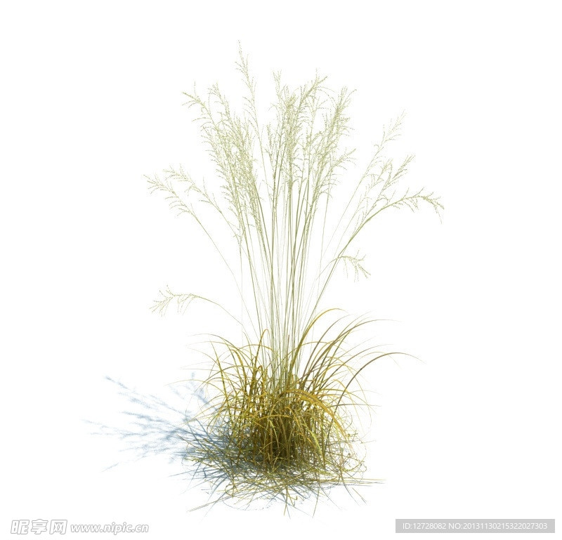 植物模型 草模型