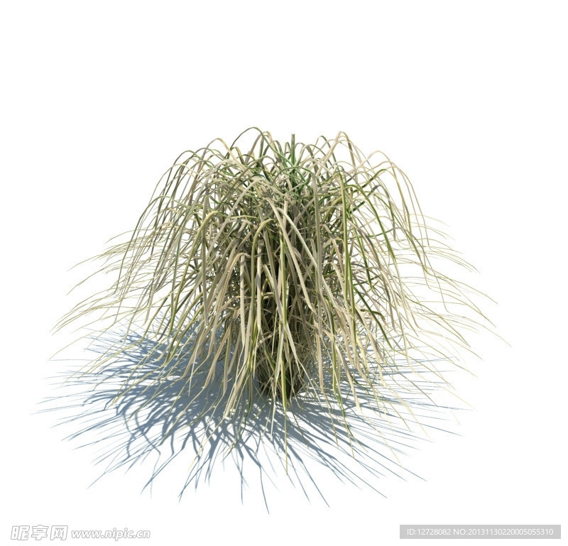植物模型 草模型