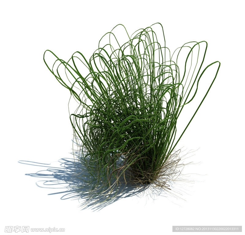 植物模型 草模型