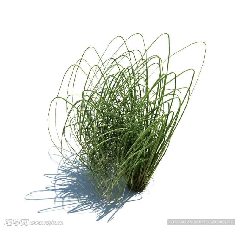 植物模型 草模型