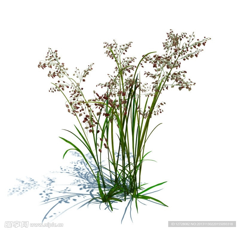 植物模型 草模型