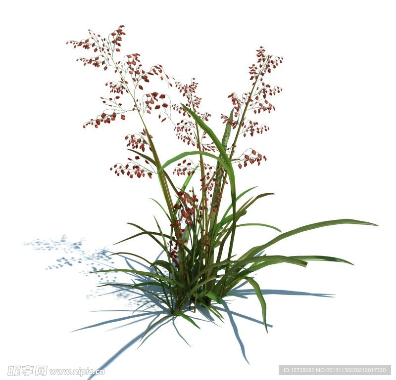 植物模型 草模型